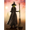 image:imageTAMASHII NATIONS  Wicked  Glinda SHFiguarts Action FigureElphaba