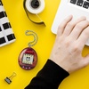 image:imageTamagotchi Original  Sunset