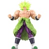 Super Saiyan Broly