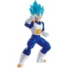 Super Saiyan Blue Vegeta