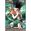 Gon