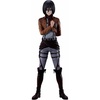 Mikasa (Dedicate Your Heart)