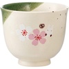 image:imageStudio Ghibli  My Neighbor Totoro  SakuraCherry Blossom Skater Traditional Japanese Porcelain Dish Series  Teacup