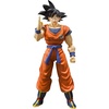 Son Goku -a Saiyan Raised on Earth-
