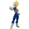 Super Saiyan Vegeta -Awakened Super Saiyan Blood-