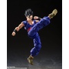 image:imageTAMASHII NATIONS  Dragon Ball Super Super Hero  Piccolo Super Hero SHFiguarts Action FigureUltimate Gohan Super Hero Reissue